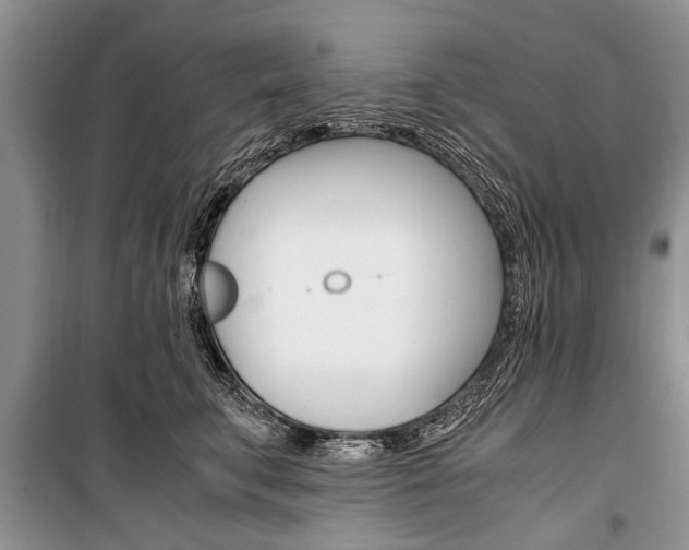 X0000101100711200806261045