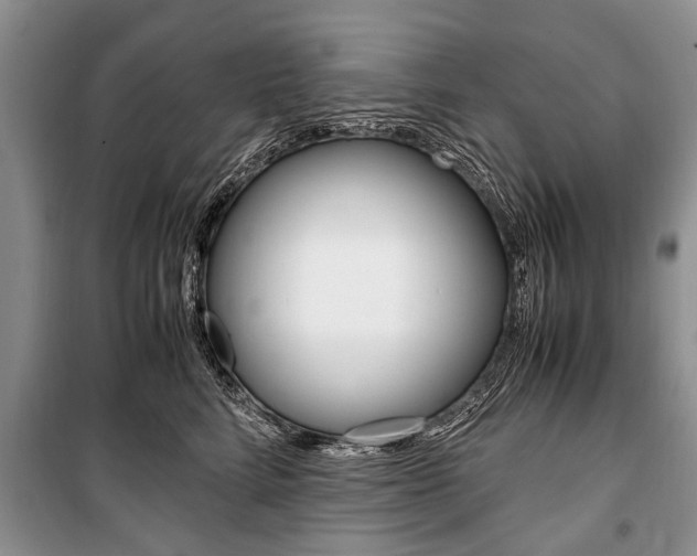 X0000101100712200806261045