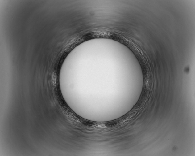 X0000101100715200806261044
