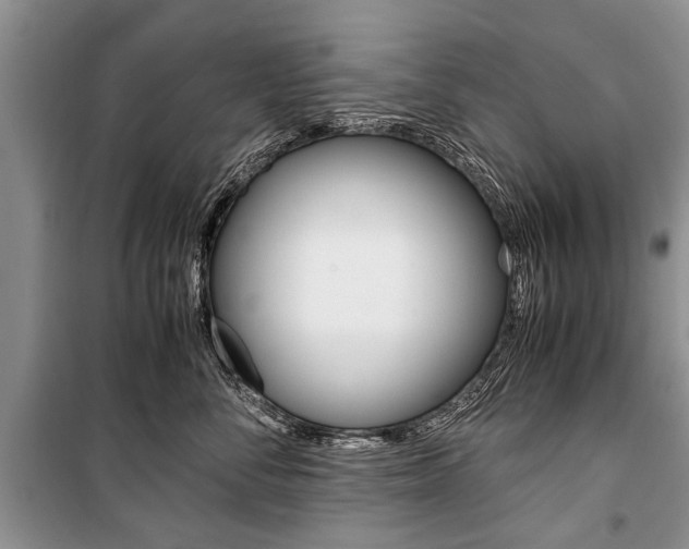X0000101100716200806261044
