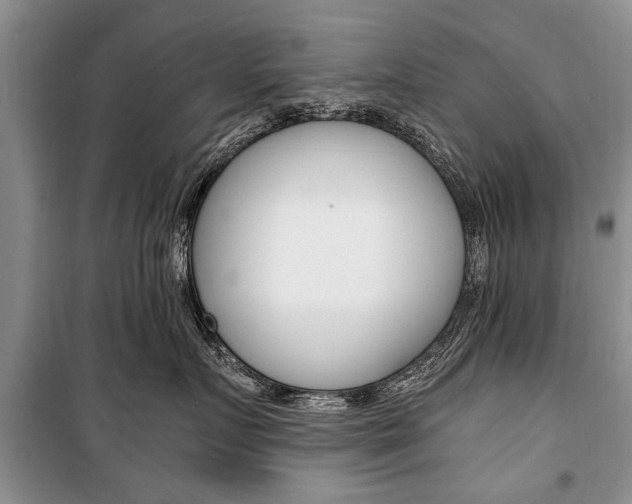 X0000101100719200806261044