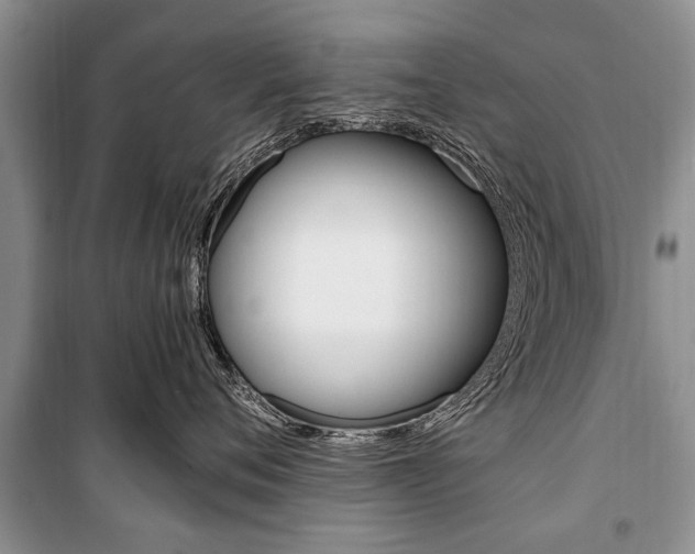 X0000101100720200806261044