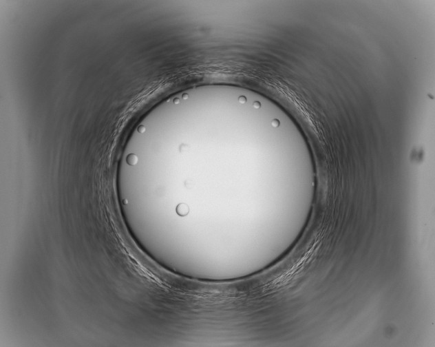 X0000101100721200806261043