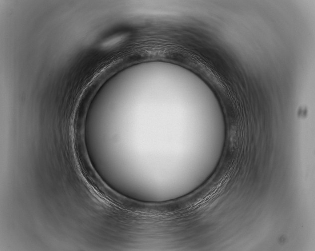 X0000101100722200806261043