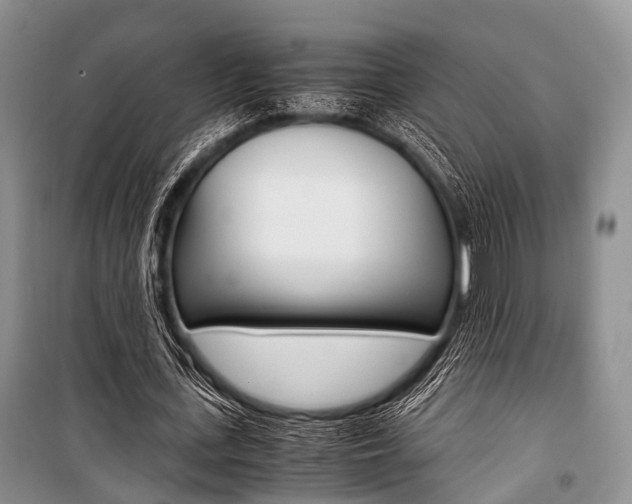 X0000101100723200806261043