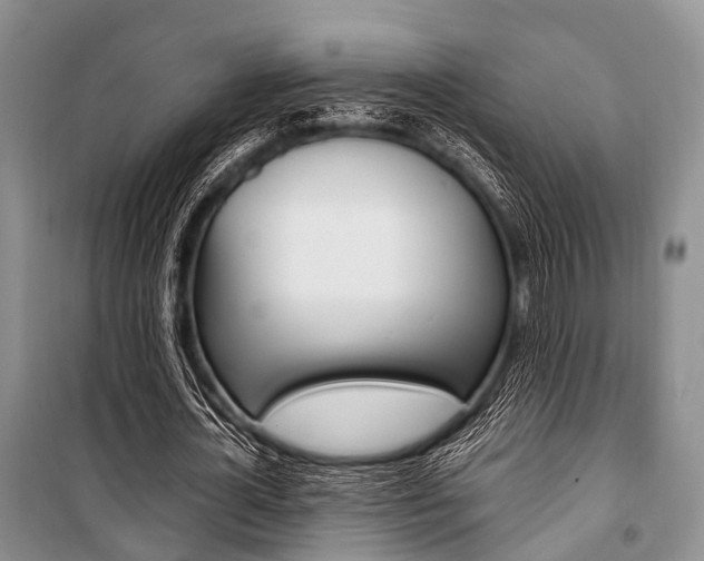 X0000101100724200806261043