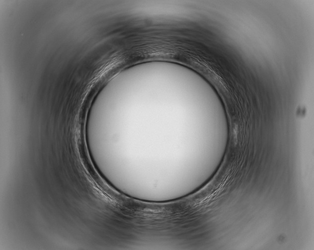 X0000101100725200806261043
