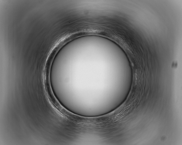 X0000101100726200806261043