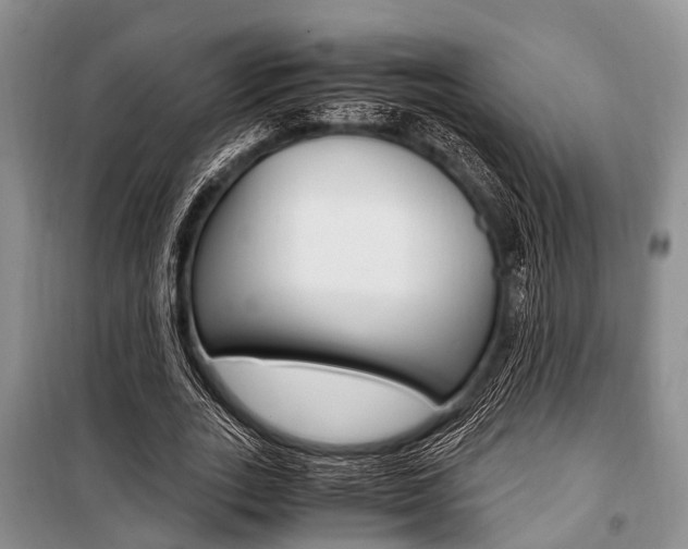 X0000101100727200806261043