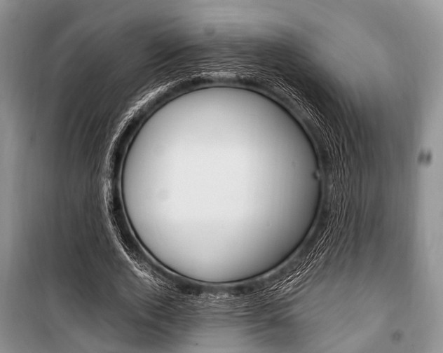 X0000101100728200806261043
