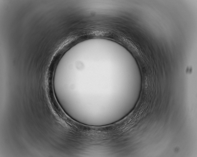 X0000101100730200806261044