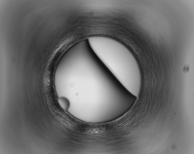 X0000101100731200806261044