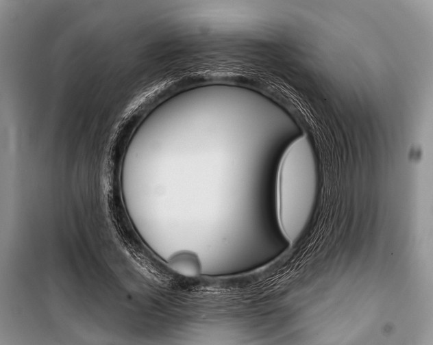 X0000101100732200806261044