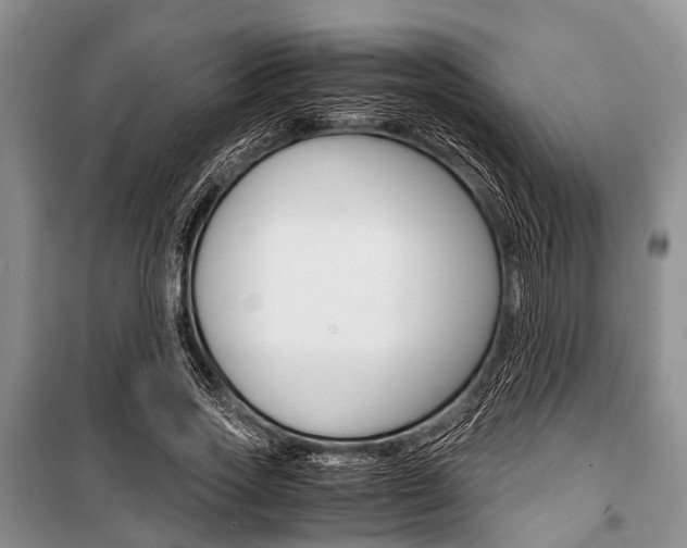 X0000101100733200806261044