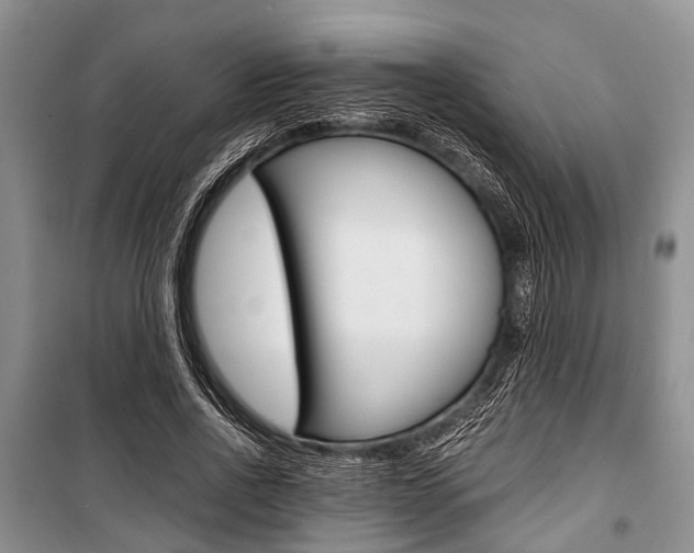 X0000101100734200806261044