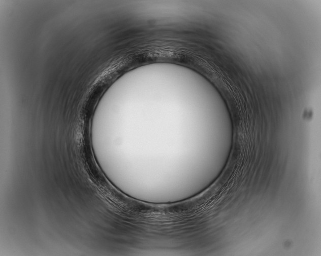 X0000101100735200806261044