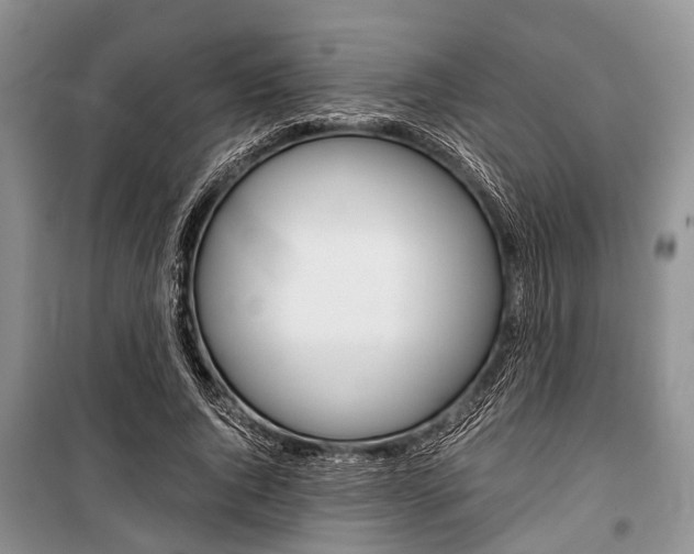 X0000101100736200806261044