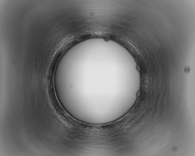 X0000101100738200806261044