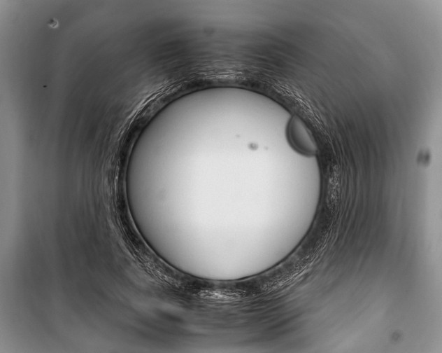 X0000101100739200806261044