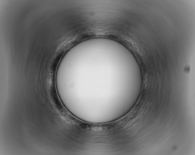 X0000101100740200806261044