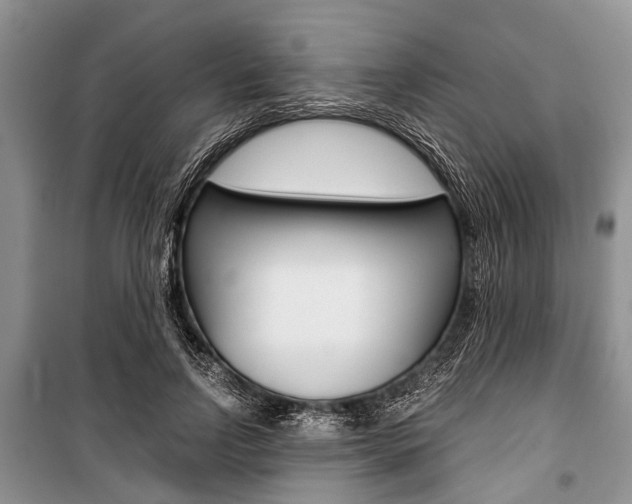 X0000101100742200806261044