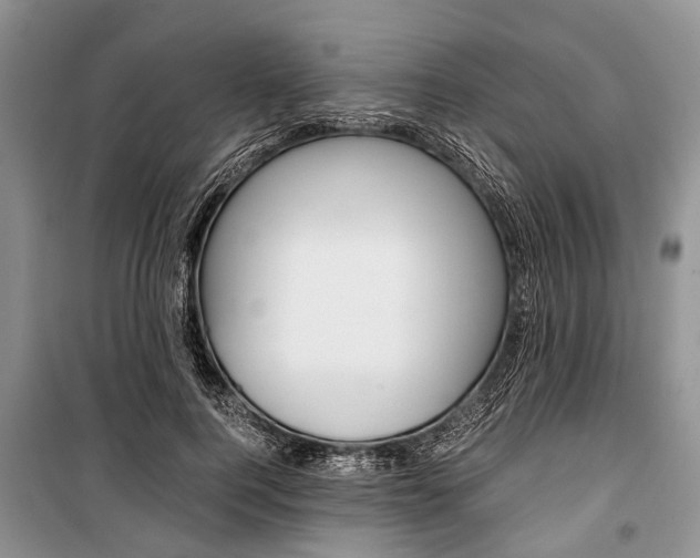 X0000101100744200806261044