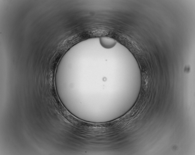 X0000101100745200806261044