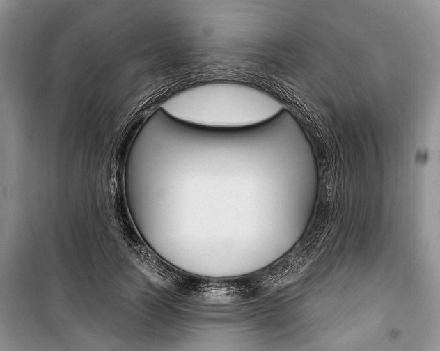 X0000101100746200806261044