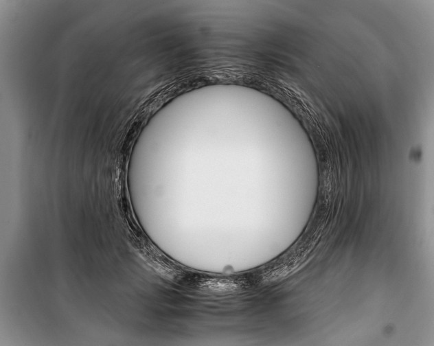 X0000101100749200806261044