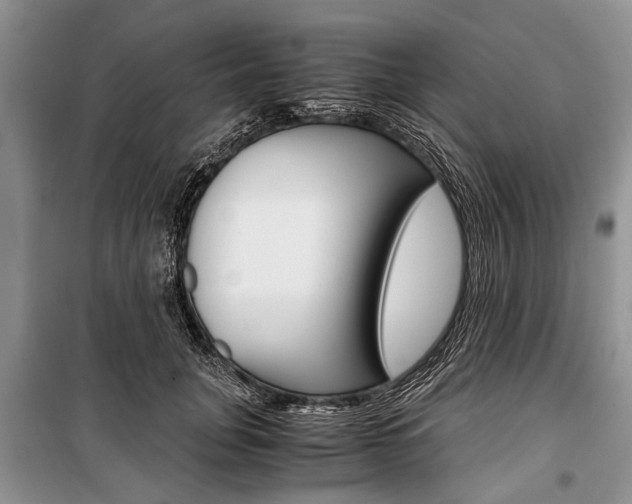 X0000101100751200806261044