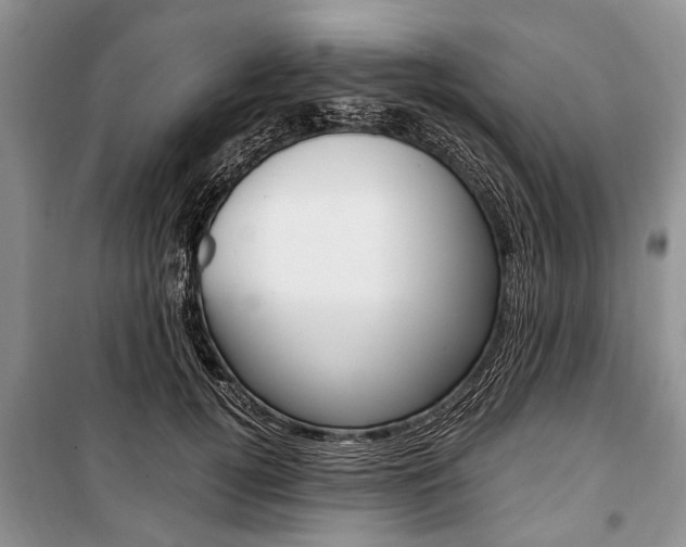 X0000101100752200806261044