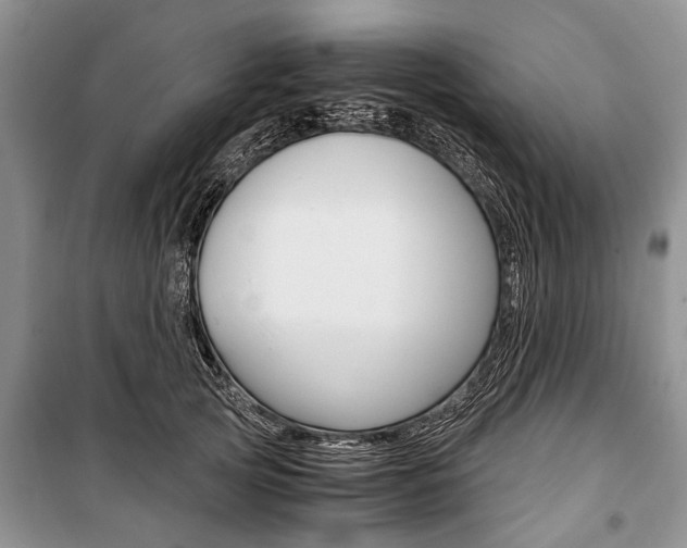 X0000101100753200806261044