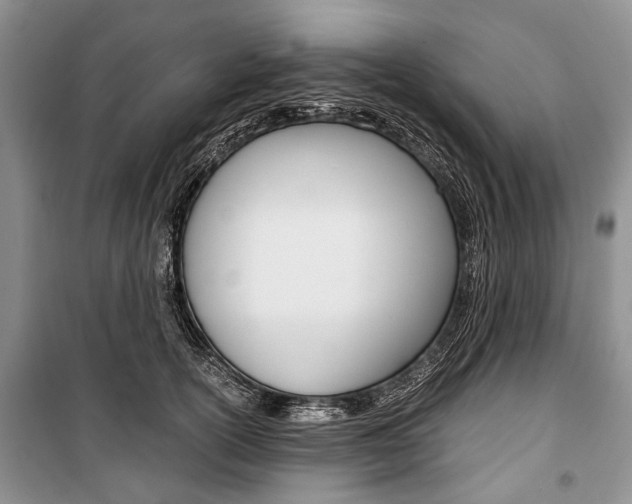 X0000101100754200806261044