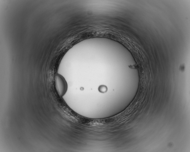X0000101100756200806261044