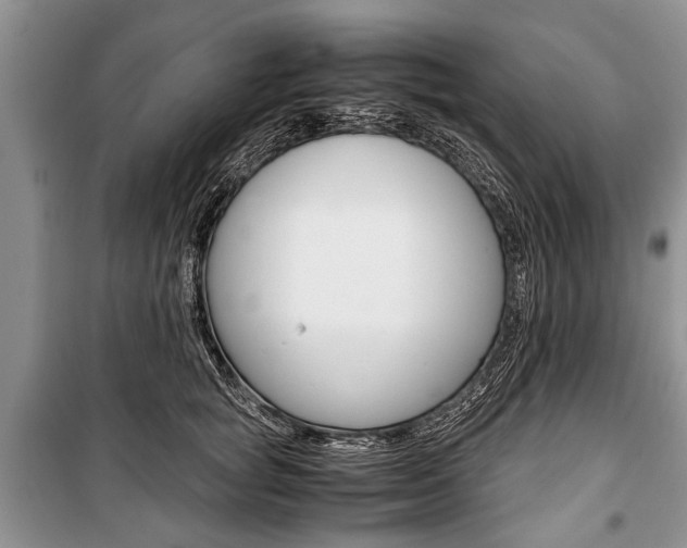X0000101100757200806261044