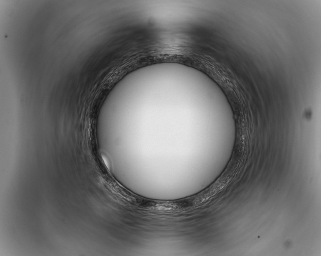 X0000101100758200806261044