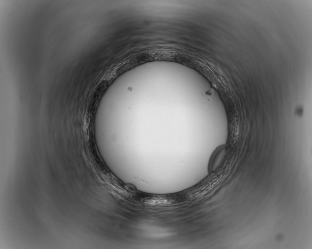 X0000101100759200806261044