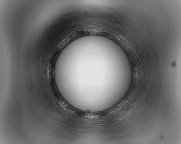 X0000101100760200806261044