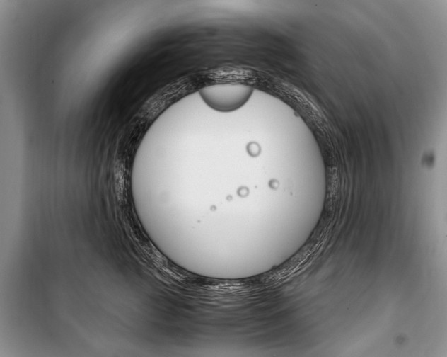X0000101100761200806261044