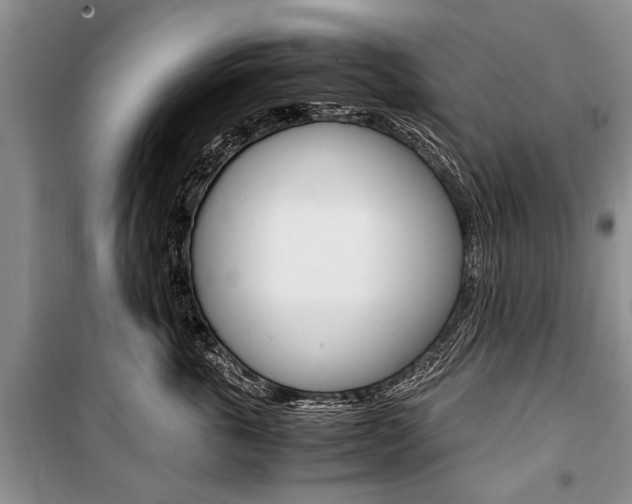 X0000101100763200806261044