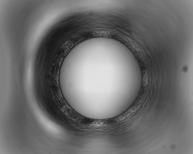 X0000101100764200806261044
