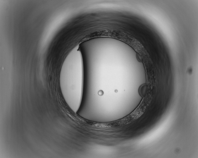 X0000101100766200806261044