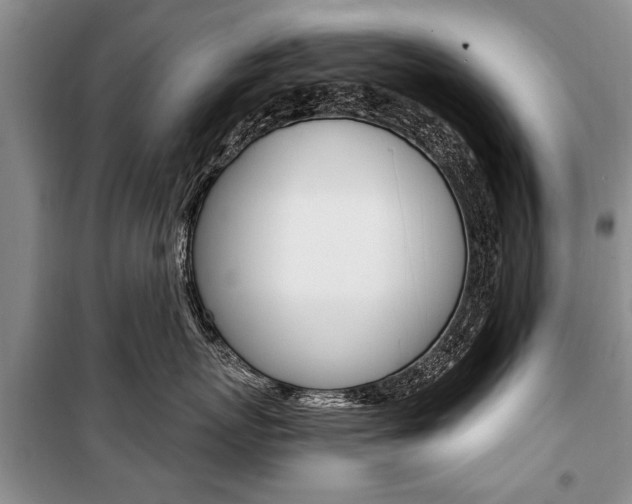 X0000101100767200806261044