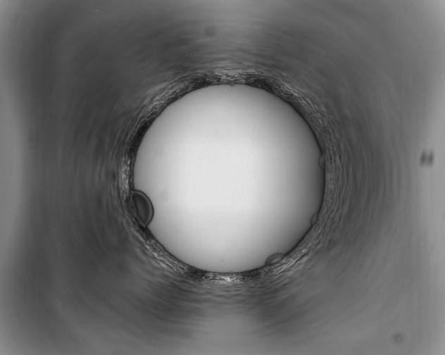 X0000101100768200806261044