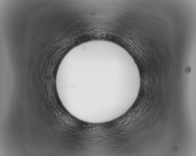 X0000101100769200806261043