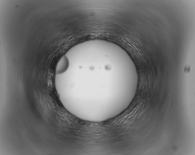 X0000101100770200806261043
