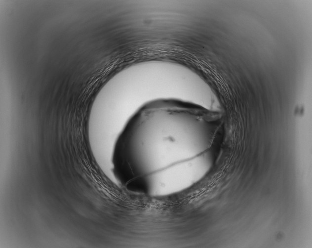 X0000101100772200806261043