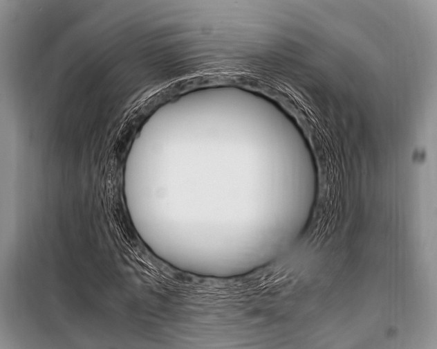 X0000101100773200806261043