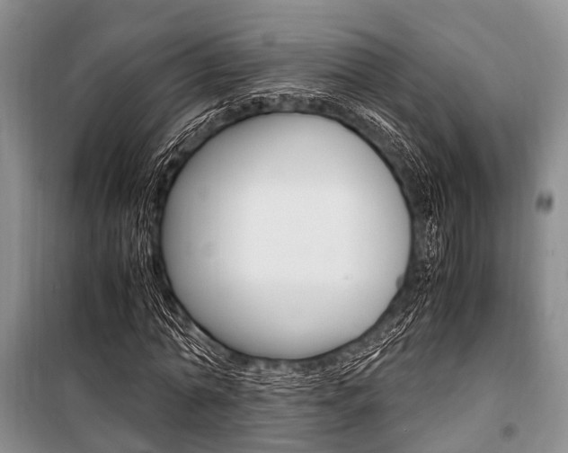 X0000101100774200806261043