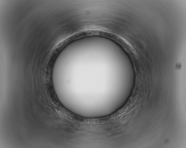 X0000101100775200806261043
